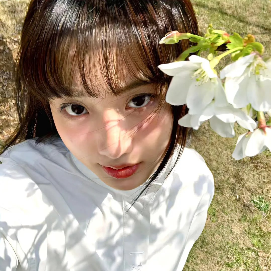 九辰风云录
